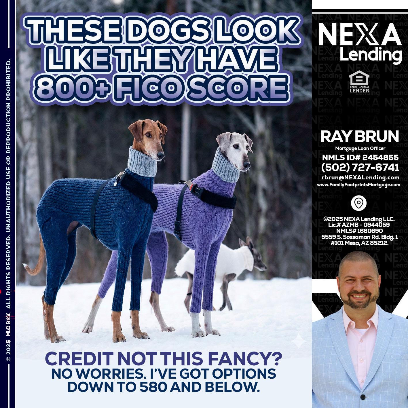 THESE DOGS LOOK - Ray Brun -Mortgage Loan Originator